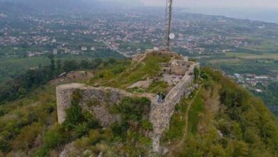 IMG 20251107 082046 125