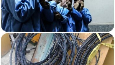 IMG 20251111 082244 094