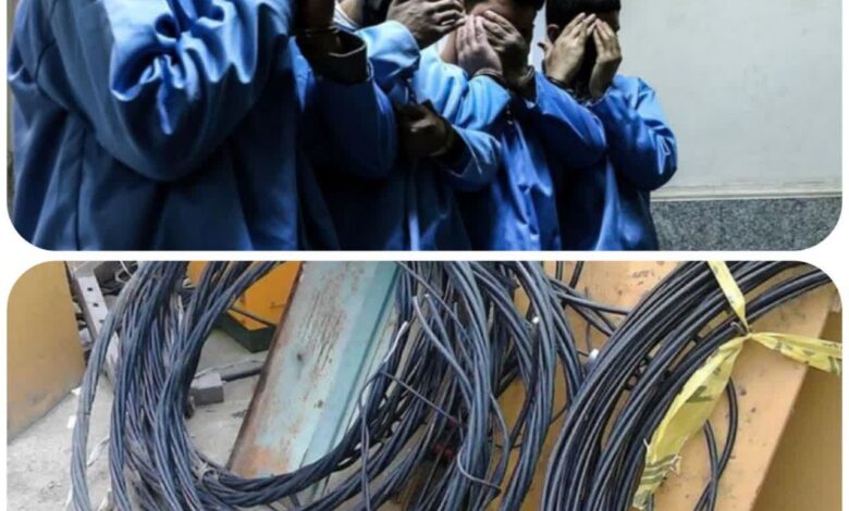 IMG 20251111 082244 094