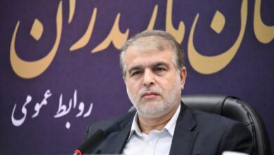 IMG 20251113 111247 433