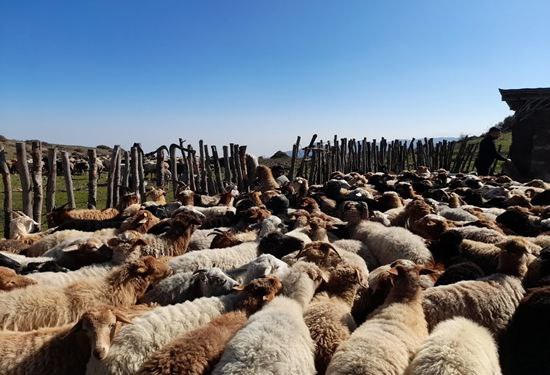 IMG 20251115 162849 373