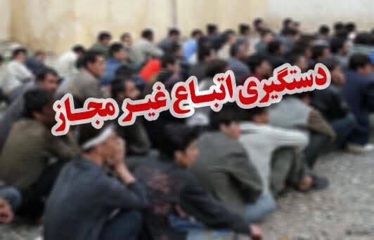 جمع آوري و طرد اتباع غير مجاز در تنکابن 1 IMG 20251118 103054 310