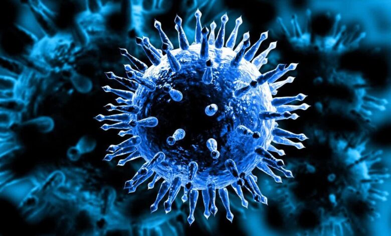 IMG 20251118 215835 679