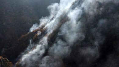 IMG 20251122 074020 995