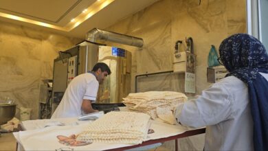 IMG 20251123 101250 837