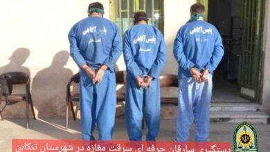 IMG 20251123 165335 927