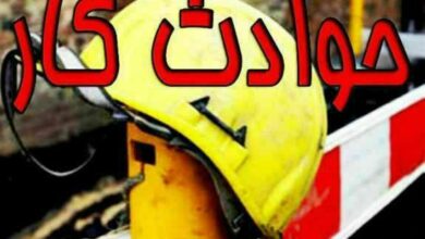 IMG 20251126 101718 696