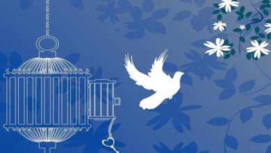 1403091811083926931631594