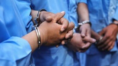 IMG 20251203 151917 518