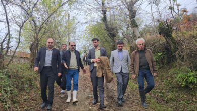 IMG 20251204 214617 209