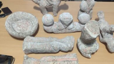 IMG 20251205 095522 682