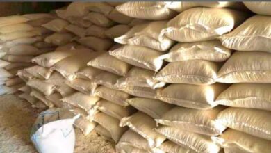 IMG 20251208 185139 042