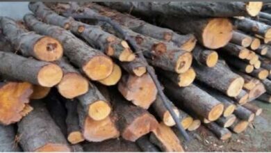 IMG 20251208 185406 834