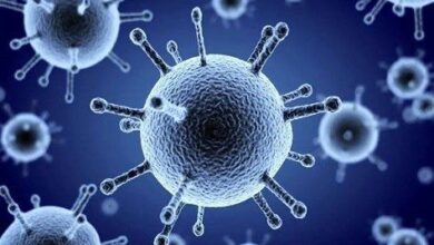 IMG 20251211 000638 487