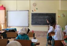 IMG 20251212 083831 006