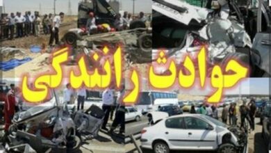 IMG 20251217 083836 851