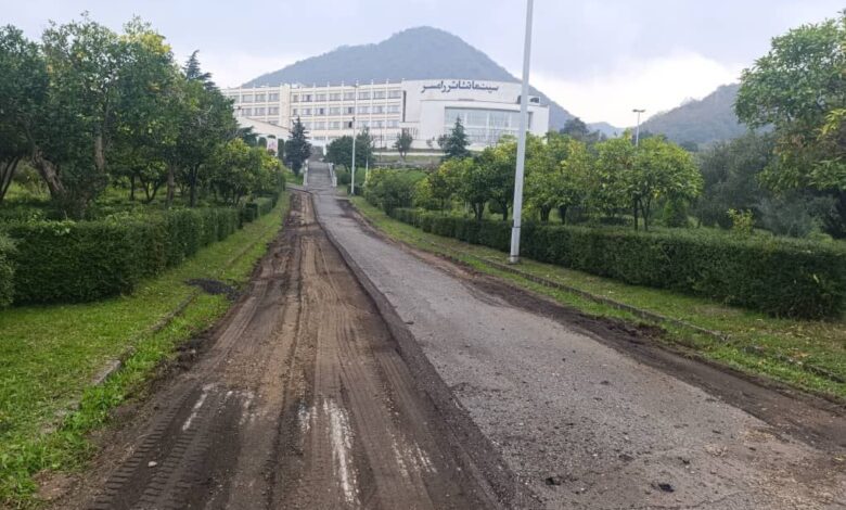 IMG 20251219 074722 448