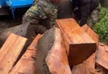 IMG 20251220 091638 658