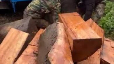 IMG 20251220 091638 658