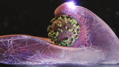 IMG 20251221 231111 427