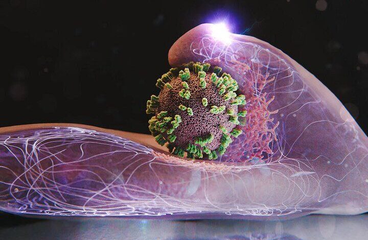 مهار موج شدید آنفلوآنزا در کشور طی هفته جاری 1 IMG 20251221 231111 427