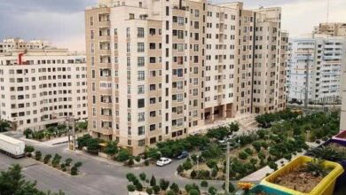 IMG 20260126 073026 135